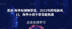 黑冰·海外短视频带货，2023年跨境新风口，海外小黄车带货新机遇-小鸿资源库
