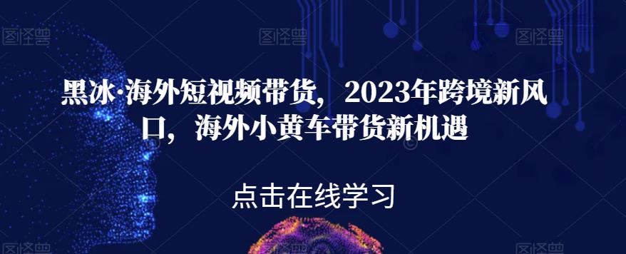 黑冰·海外短视频带货，2023年跨境新风口，海外小黄车带货新机遇-小鸿资源库