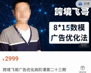 跨境飞哥·广告优化高阶课第二十三期，​8*15数模广告优化法，用数据驱动决策-小鸿资源库