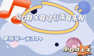 QQ群全自动引流音乐粉，单账号一天轻松引流30+-小鸿资源库