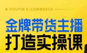 金牌带货主播打造实操课，直播间小公主丹丹老师告诉你，百万主播不可追，高效复制是王道！-小鸿资源库