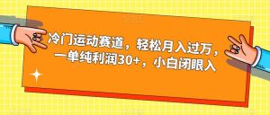 冷门运动赛道，轻松月入过万，一单纯利润30+，小白闭眼入【揭秘】-小鸿资源库
