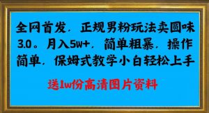 全网首发正规男粉玩法卖圆味3.0，月入5W+，简单粗暴，操作简单，保姆式教学，小白轻松上手-小鸿资源库