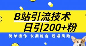 B站引流技术：每天引流200精准粉，简单操作，长期稳定，规避风险-小鸿资源库