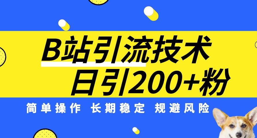 B站引流技术：每天引流200精准粉，简单操作，长期稳定，规避风险-小鸿资源库
