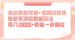 海外爆款视频+保姆级教学，壁纸号项目最新玩法，月入10000+教你一步到位【揭秘】-小鸿资源库