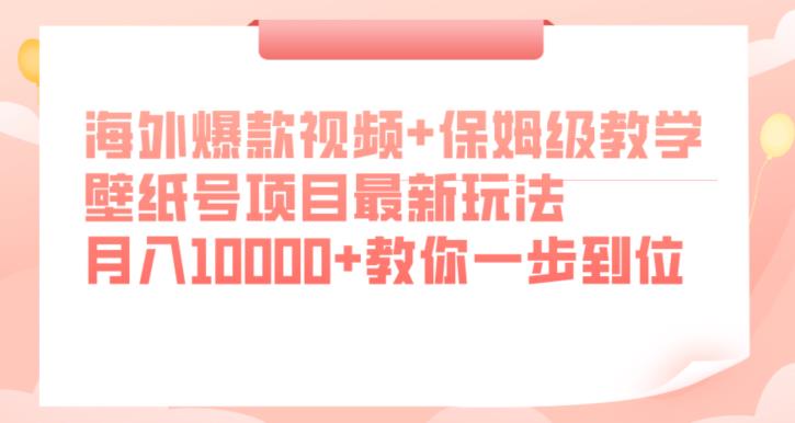 海外爆款视频+保姆级教学，壁纸号项目最新玩法，月入10000+教你一步到位【揭秘】-小鸿资源库