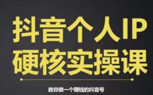 个人IP创富系统实战课，商业定位，流量打造，短视频变现，教你做个赚钱的抖音号-小鸿资源库