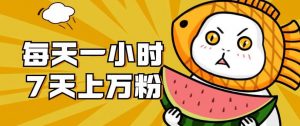 暴力涨粉项目：每天一小时，七天上万粉【揭秘】-小鸿资源库