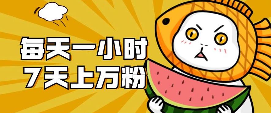 暴力涨粉项目:每天一小时,七天上万粉【揭秘】-小鸿资源库