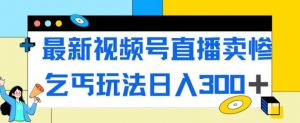 最新视频号直播卖惨乞讨玩法，流量嘎嘎滴，轻松日入300+-小鸿资源库