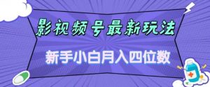 影视号最新玩法，新手小白月入四位数，零粉直接上手【揭秘】-小鸿资源库