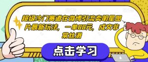 超级冷门赛道在微博引流卖明星图片最新玩法，一单88元，成交非常丝滑【揭秘】-小鸿资源库