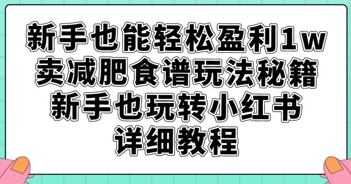新手也能轻松盈利1w，卖减肥食谱玩法秘籍，新手也玩转小红书详细教程【揭秘】-小鸿资源库