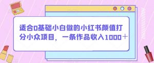 适合0基础小白做的小红书颜值打分小众项目，一条作品收入1000＋【揭秘】-小鸿资源库
