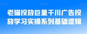 老猫投放巨量千川广告投放学习实操系列基础逻辑-小鸿资源库