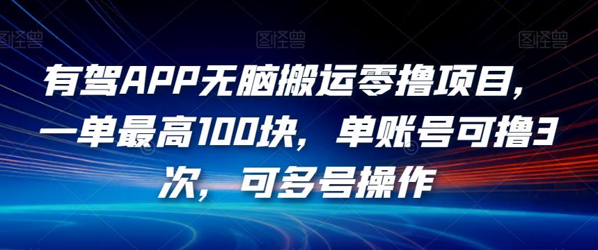 有驾APP无脑搬运零撸项目，一单最高100块，单账号可撸3次，可多号操作【揭秘】-小鸿资源库