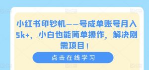 小红书印钞机——号成单账号月入5k+，小白也能简单操作，解决刚需项目【揭秘】-小鸿资源库