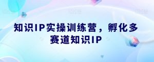 知识IP实操训练营，​孵化多赛道知识IP-小鸿资源库