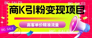 商K引粉变现项目，高客单价精准流量【揭秘】-小鸿资源库