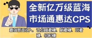全新亿万级蓝海市场通惠达cps，最强管道收入，让你睡着赚、躺着赚、玩着赚、轻松赚【揭秘】-小鸿资源库