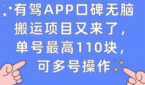 有驾APP口碑无脑搬运项目又来了，单号最高110块，可多号操作-小鸿资源库