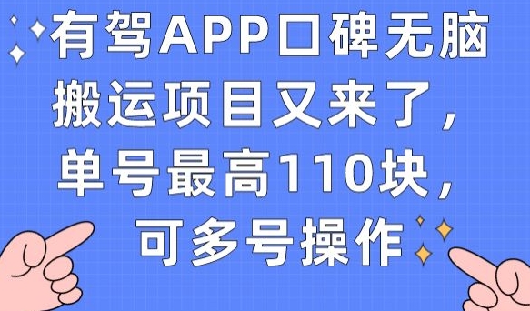 有驾APP口碑无脑搬运项目又来了，单号最高110块，可多号操作-小鸿资源库