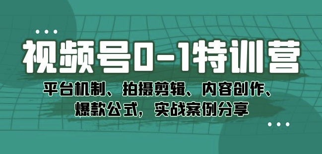 视频号0-1特训营：平台机制、拍摄剪辑、内容创作、爆款公式，实战案例分享-小鸿资源库