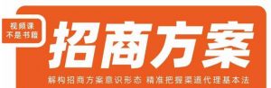 王昕招商方案，解构招商方案意识形态，精准把握渠道代理基本法-小鸿资源库
