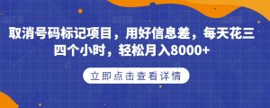 取消号码标记项目，用好信息差，每天花三四个小时，轻松月入8000+【揭秘】-小鸿资源库