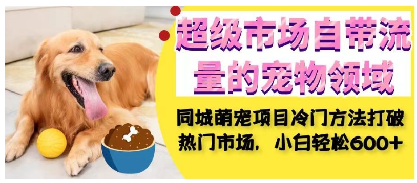 超级市场自带流量的宠物领域，同城萌宠项目冷门方法打破热门市场，小白轻松600+-小鸿资源库