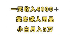 一天收入4000+，靠卖成人用品，小白轻松月入5万【揭秘】-小鸿资源库