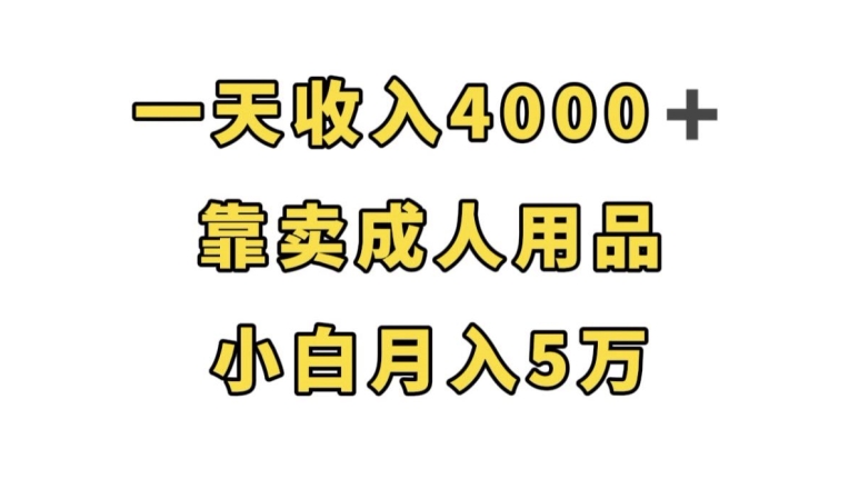 一天收入4000+，靠卖成人用品，小白轻松月入5万【揭秘】-小鸿资源库