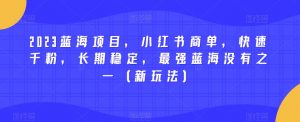 2023蓝海项目,小红书商单,快速千粉,长期稳定,最强蓝海没有之一(新玩法)-小鸿资源库