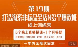 打造淘系非标全店N多个爆款线上课，​5天直播课-小鸿资源库