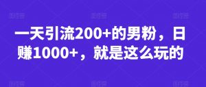 一天引流200+的男粉，日赚1000+，就是这么玩的【揭秘】-小鸿资源库