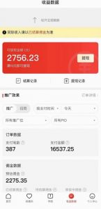 拼多多无人直播不封号玩法，0投入，3天必起，日入1000+-小鸿资源库