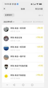 卖古籍电子书，作品只需要简单的图片去重，高客单价高利润，月入五位轻轻松松-小鸿资源库