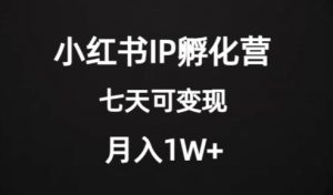 价值2000+的小红书IP孵化营项目，超级大蓝海，七天即可开始变现，稳定月入1W+-小鸿资源库