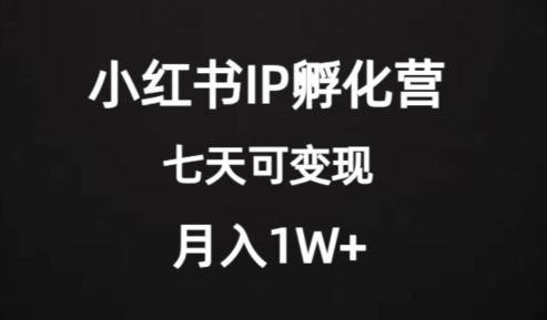 价值2000+的小红书IP孵化营项目，超级大蓝海，七天即可开始变现，稳定月入1W+-小鸿资源库
