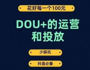 DOU+的运营和投放，花1条DOU+的钱，成为DOU+的投放高手，少走弯路不采坑-小鸿资源库