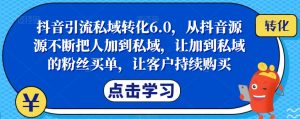 抖音引流私域转化6.0，从抖音源源不断把人加到私域，让加到私域的粉丝买单，让客户持续购买-小鸿资源库