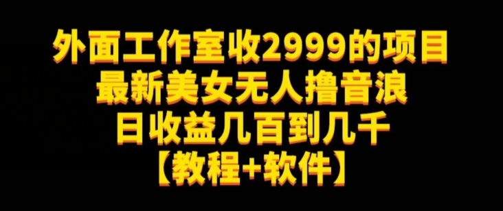 外面工作室收2999的项目最新美女无人撸音浪日收益几百到几千【教程+软件】（仅揭秘）-小鸿资源库