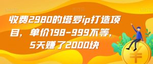 收费2980的塔罗ip打造项目，单价198-999不等，5天赚了2000块【揭秘】-小鸿资源库
