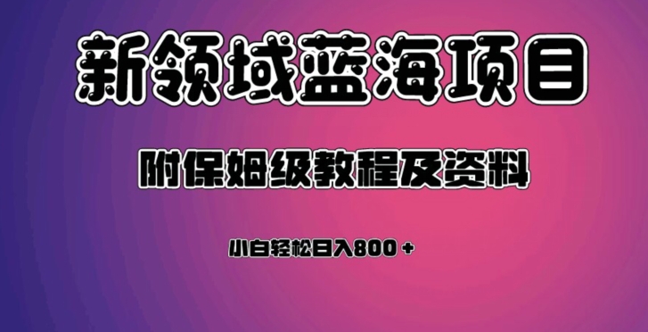 虚拟资源蓝海领域新项目，轻松日入800＋，附保姆级教程及资料-小鸿资源库