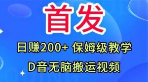 首发，抖音无脑搬运视频，日赚200+保姆级教学【揭秘】-小鸿资源库