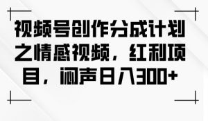 视频号创作分成计划之情感视频，红利项目，闷声日入300+-小鸿资源库