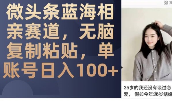 微头条蓝海相亲赛道,无脑复制粘贴,单账号日入100+-小鸿资源库