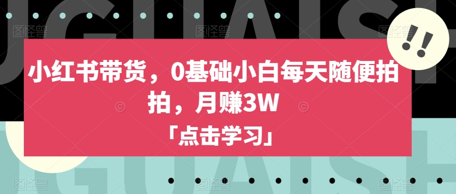 小红书带货，0基础小白每天随便拍拍，月赚3W【揭秘】-小鸿资源库