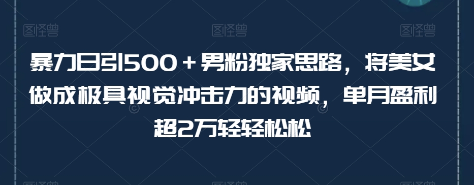 暴力日引500＋男粉独家思路，将美女做成极具视觉冲击力的视频，单月盈利超2万轻轻松松-小鸿资源库